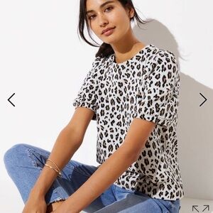 LOFT - Leopard Print Women's Knit Top Medium Petite